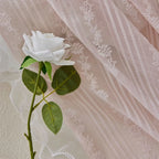Rideau rose