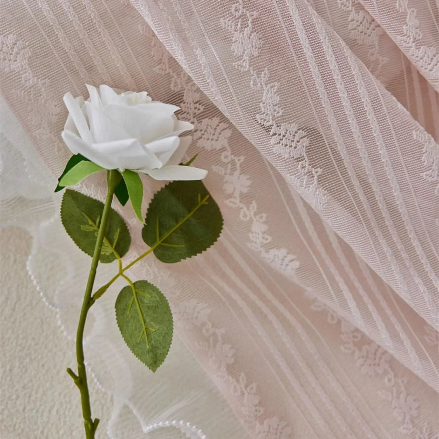 Rideau rose