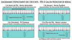 Crochet pour rideau rail Veloria